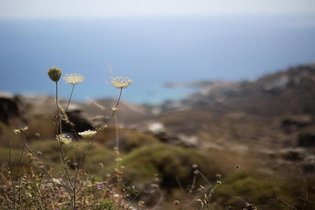 Kea 360 Villas- Dionysos Den Korissia  外观 照片