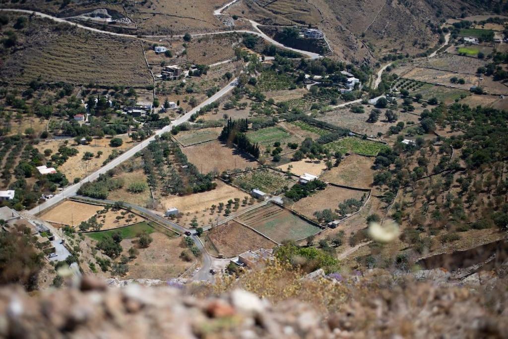 Kea 360 Villas- Dionysos Den Korissia  外观 照片